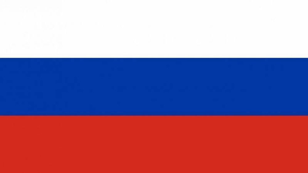 Флаг России триколор 90х135 см (сетка)