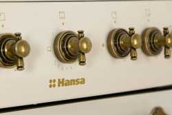 Газовая плита Hansa FCGY62109