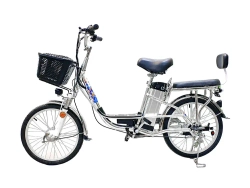 Электровелосипед Green Camel Транк-20 V2 (R20 250W) Алюм, редукторный
