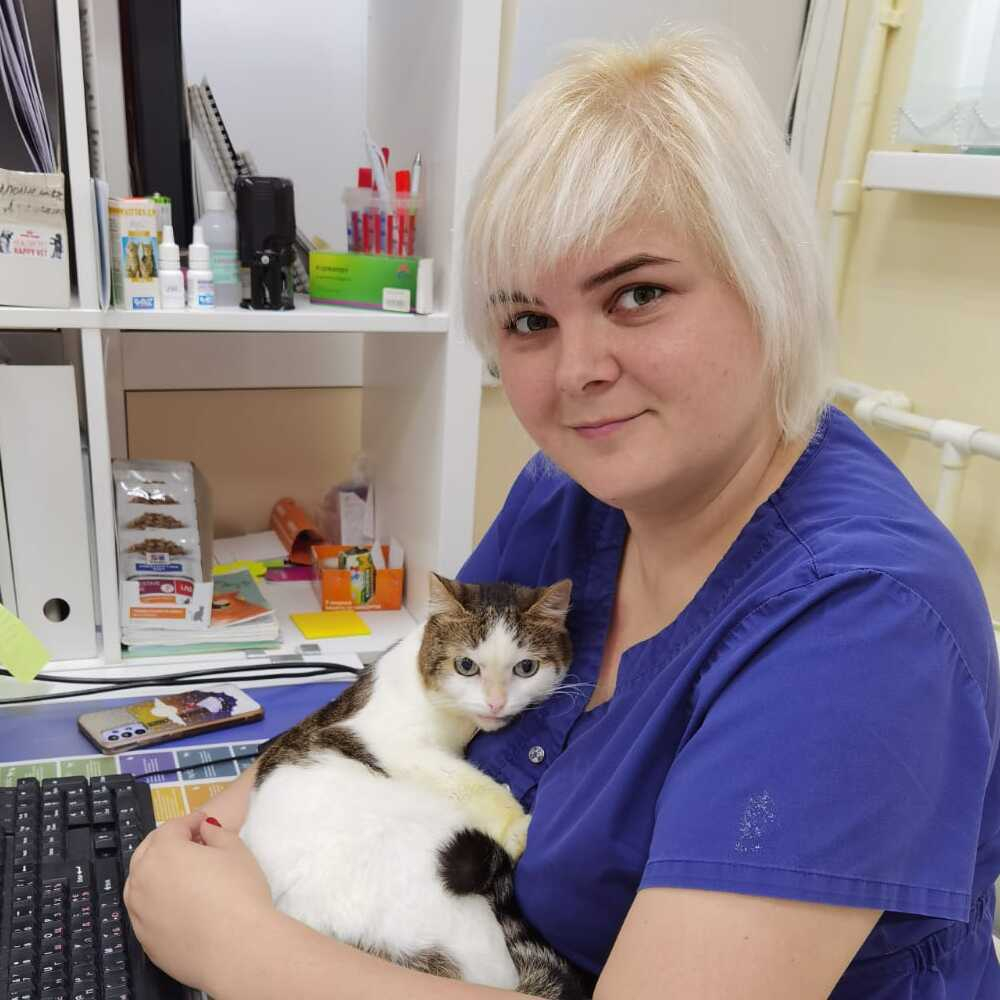 Ампутация коронки зуба