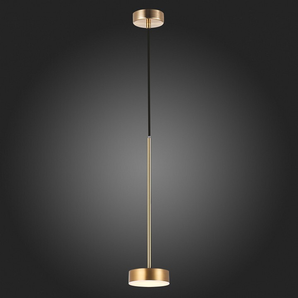 Подвесной светильник ST-Luce SL6000.303.01