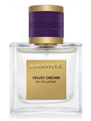 Birkholz Velvet Orchid