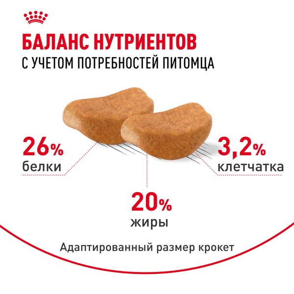 Сухой корм Royal Canin Rottweiler Adult для взрослых собак породы Ротвейлер от 18 месяцев