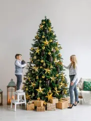 Интерьерная искусственная елка Сказочная Премиум 5,5 м., ствольная, Литая хвоя+ПВХ, Green Trees (GT5,5SK)