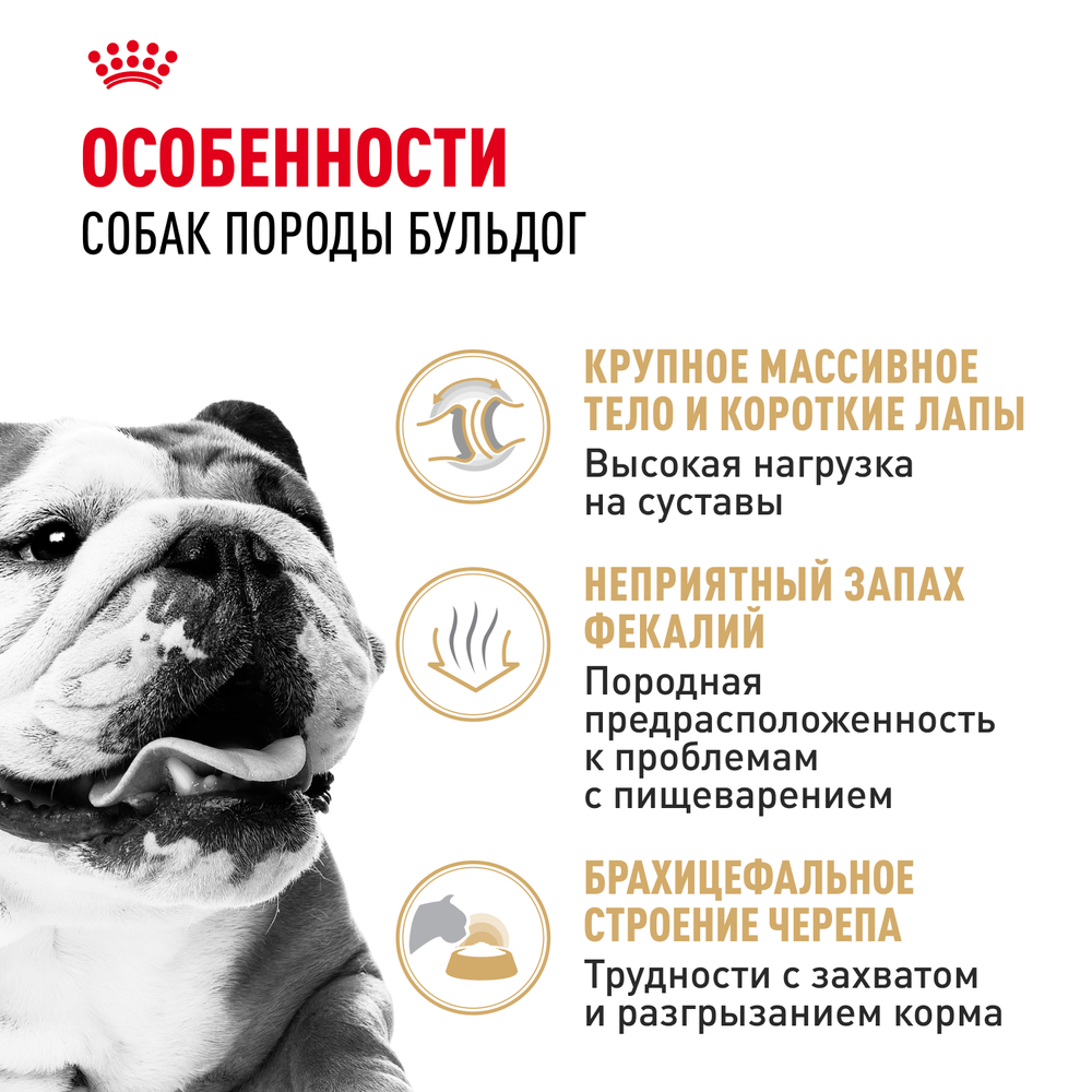 Royal Canin Bulldog Adult (БУЛЬДОГ ЭДАЛТ) Корм сухой для взрослых собак породы Бульдог от 12 месяцев 3кг
