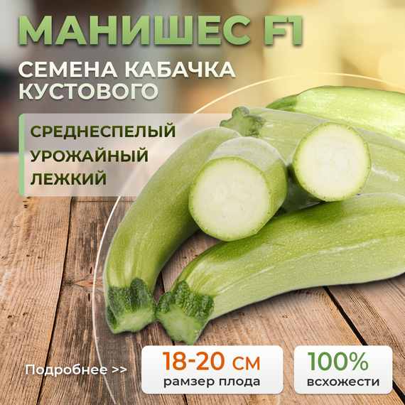 МАНИШЕС_F1_семена_кабачка_Rijk_Zwaan_Alexagro_семена_кабачка