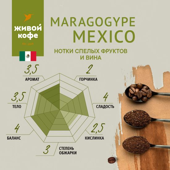 Кофе Марагоджип Мексика / Maragogype Mexico 1000 г