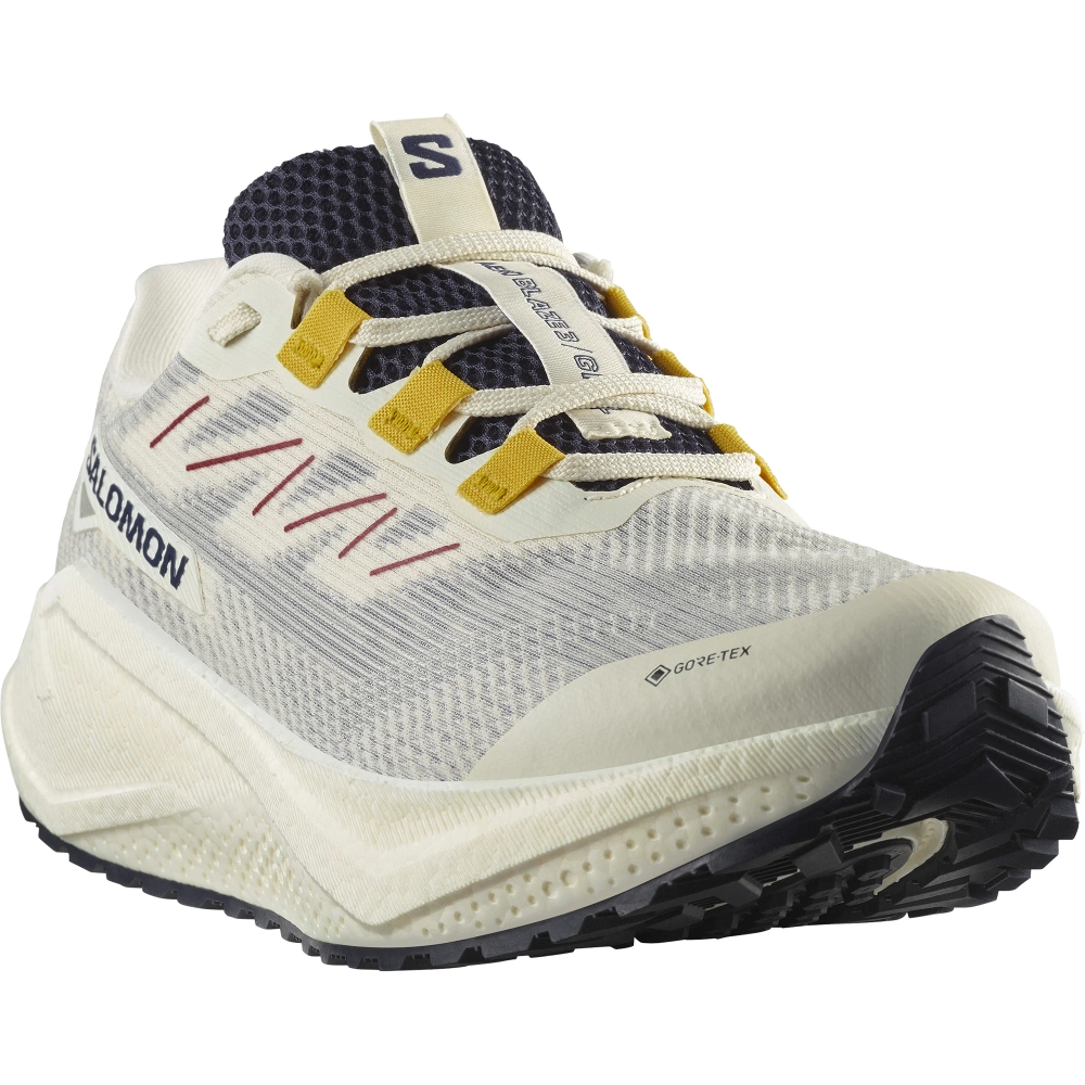 Кроссовки для бега Salomon AERO BLAZE 3 GRVL GORE-TEX Vanilla Ice / Astral Aura / Lemon