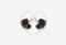 KZ AS24 Switch_0226522102053