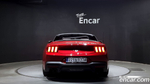 Ford Mustang 7 Generation 2.3 에코부스트 Premium Convertible (02.2024)