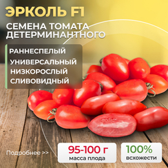 ЭРКОЛЬ F1 семена томата (Syngenta | Alexagro)