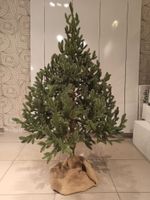 Искусственная ель на ножке «Датская» (Литая хвоя) высота от 1.2 м до 2.4 м