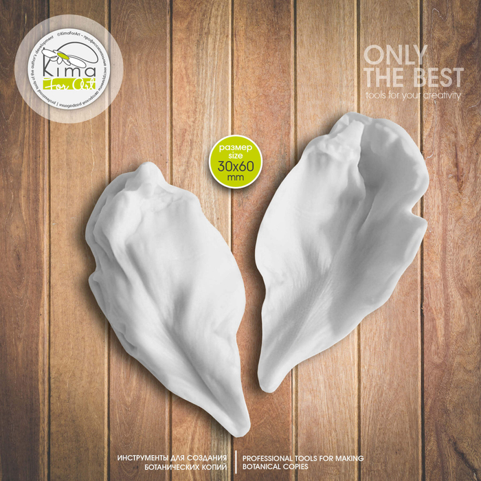 Пион древовидный лепесток средний