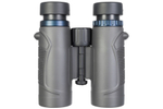 Бинокль Levenhuk Nitro 10x32