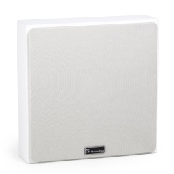 Radiotehnika Vita 2.01 White Ash широкополосная настенная акустика