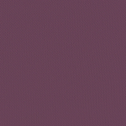 Велюр Blitz / Блитц