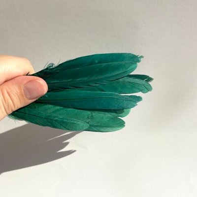 Перья утки хвойные 2 сорт 15 шт.