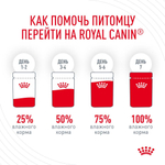 Тонкие ломтики в желе, 85г Hair & Skin для здоровья кожи и блеска шерсти Royal Canin