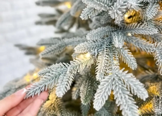 Елки заснеженные