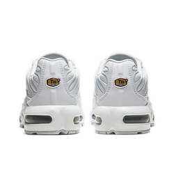 Детские кроссовки Nike Air Max Plus 'White Metallic Silver' CW7044-100