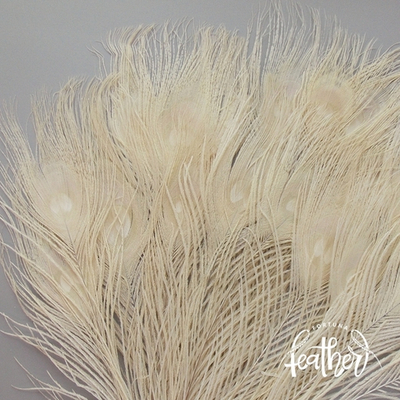 Перо павлина 25-30 см White