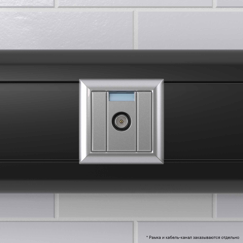 Розетка ТВ проходная "Закаленная сталь" "Avanti", 1 мод