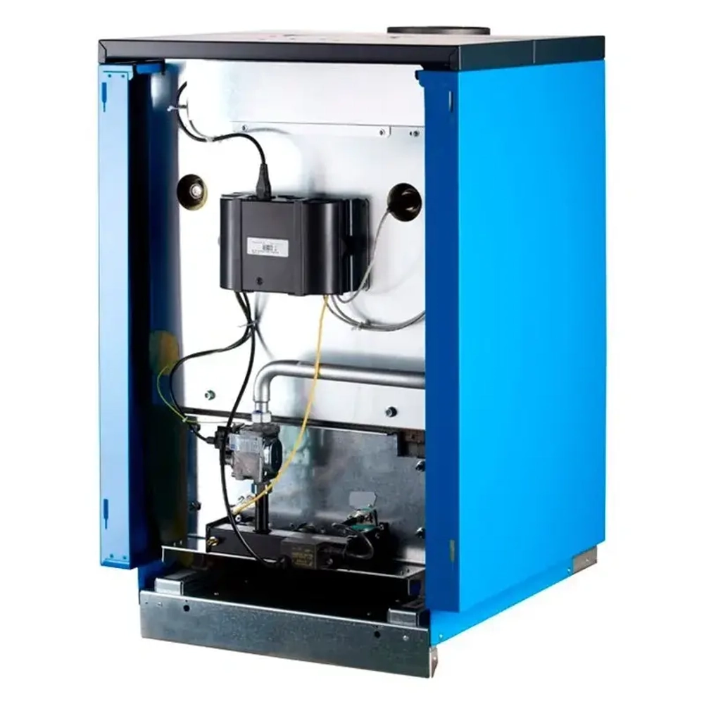 Чугунный газовый котел Buderus Logano G124-24 WS, 8732204648