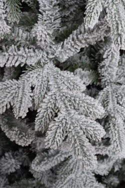 Искусственная елка Сибирская заснеженная 240 см., литая хвоя+ пвх, ЕлкиТорг (66240)