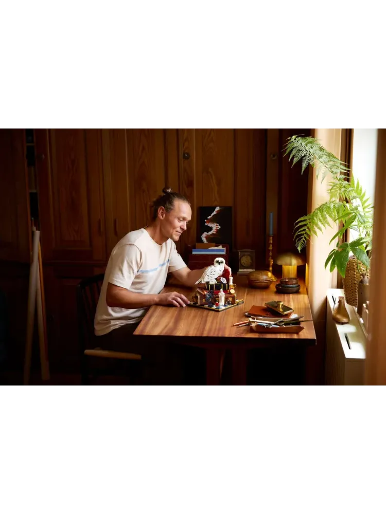 Конструктор Harry Potter 76466 Философский камень