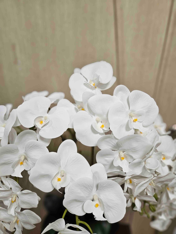 Орхидеи искусственные Люкс в кашпо белоснежные 5 веток