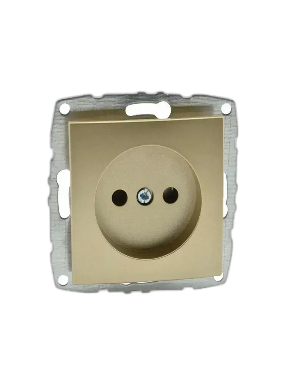 Розетка без заземления титан