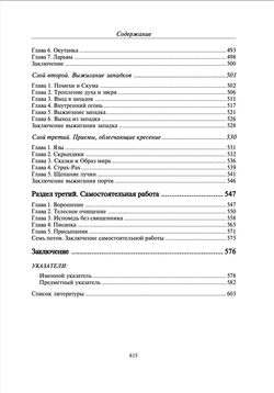 Очищение. Том 3. Русская народная психология. Шевцов А.