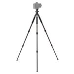 Штатив Benro Induro BICLT203B2 Classic 203 шаровой головой