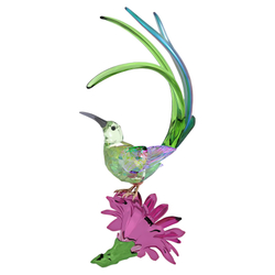 IDYLLIA:SUGARBIRD AND CACTUS FLOWER