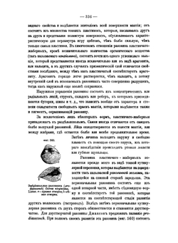Краткий курс палеонтологии. Палеозоология | Лагузен Иосиф Иванович