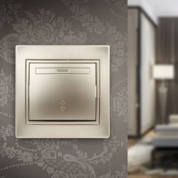 1-103-04 Intro Переключатель, 10А-250В, IP20, СУ, Plano, шампань | Intro