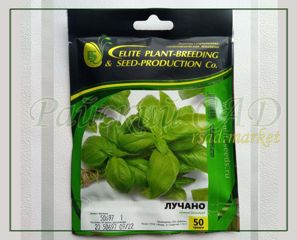 Базилик Лучано (Гавриш) 2гр