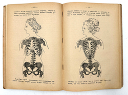 Спутник женщины. Настольная книга для женщин. СПб.,Тип. М. Розеноер, 1898 г.