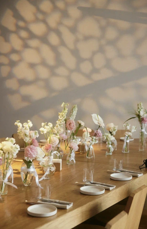 Летняя коллаборация DA X WHY NOT