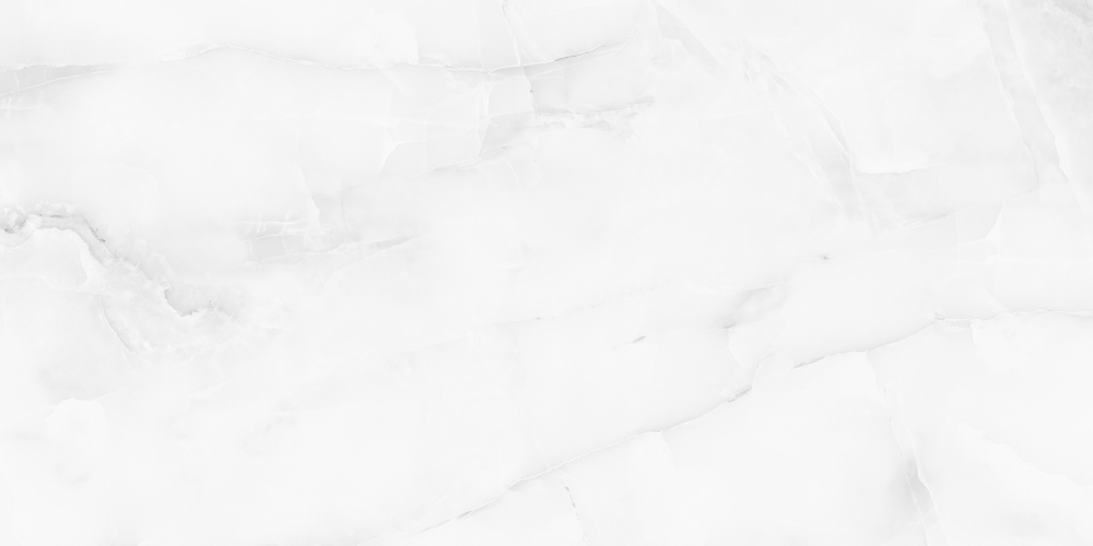 Staro Palacio Antisky Grey light Polished 60x120