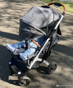 Коляски Dearest Серая — 9-0393