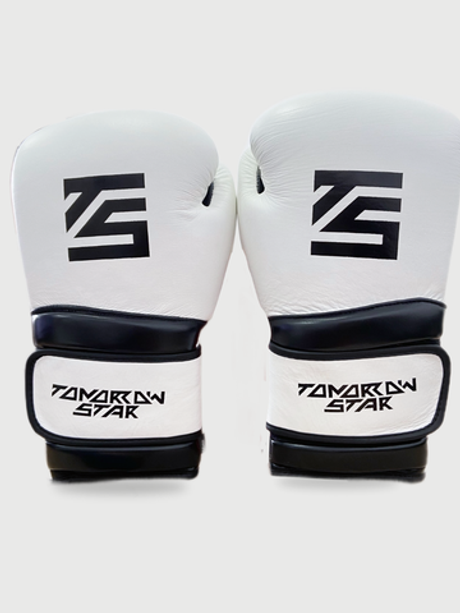 Перчатки боксерские WHITE- BLACK TS 18