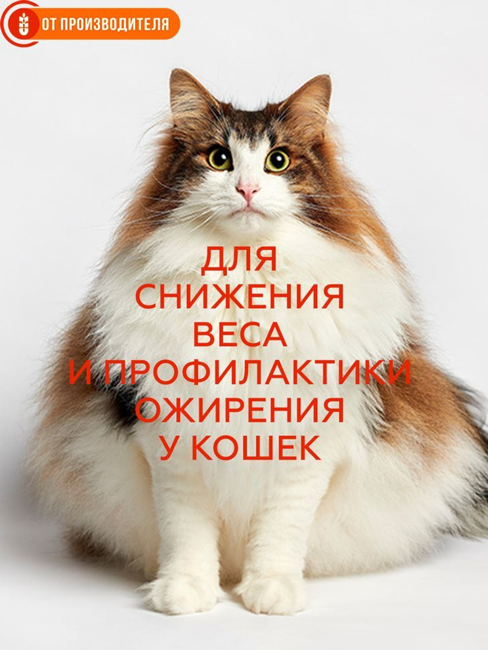 95b6baf6c43fe9f721ecfed5b030e333