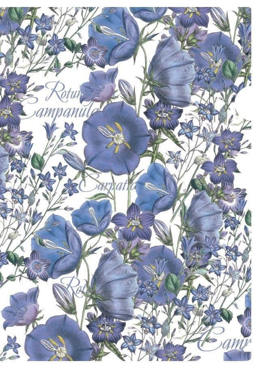 Папка-уголок А4 4 шт. Mont Royal