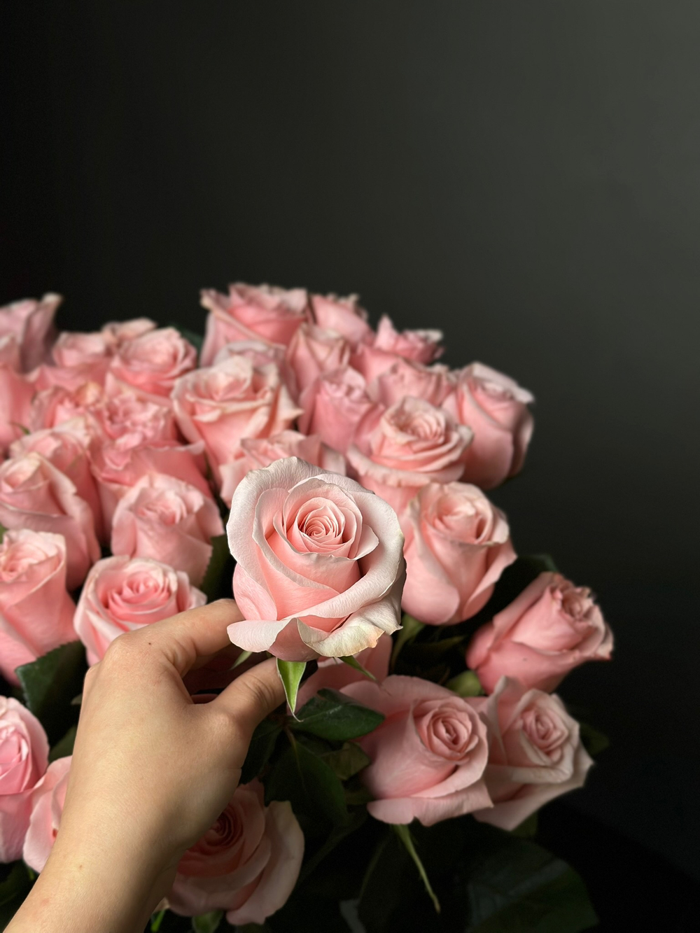 Розы поштучно «Be sweet» (Эквадор)