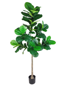 Искусственное растение разборное Фикус Лирата 180см в кашпо