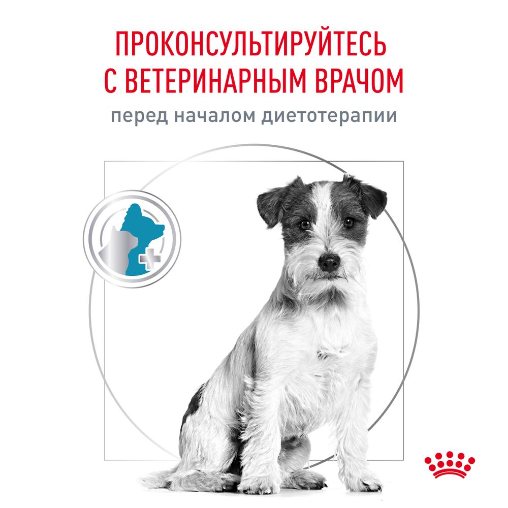 Сухой корм Royal Canin Hypoallergenic Small Dog для взрослых собак мелких пород при пищевой аллергии Сухой корм Royal Canin Hypoallergenic Small Dog для взрослых собак мелких пород при пищевой аллергии