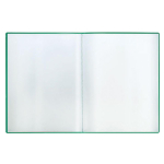 Папка с 20 вкладышами 14мм, 400мкм, зеленая (Стамм)