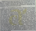 Баклажан Бычье Сердце 0,3 г СМБК12