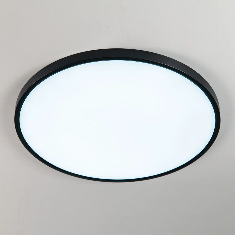 Citilux Бейсик CL738501V Светильник накладной Чёрный